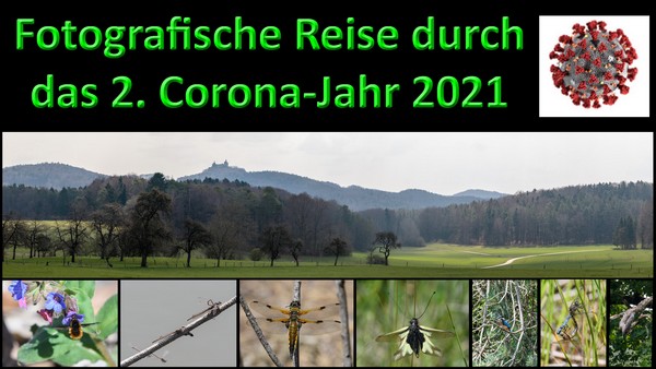 Bild zum Programm