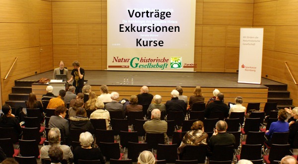 Monatsprogramm