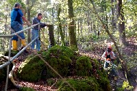 Ein angebrochener Baum wird beseitigt   