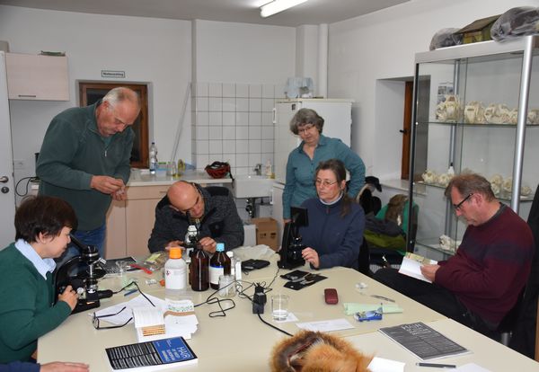 Bild2 