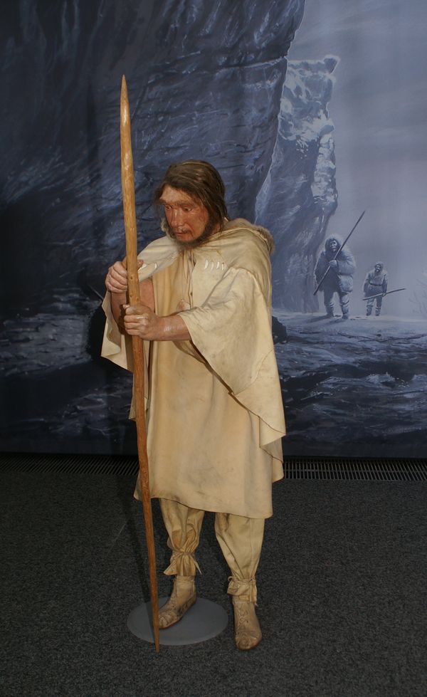 Bild 1 